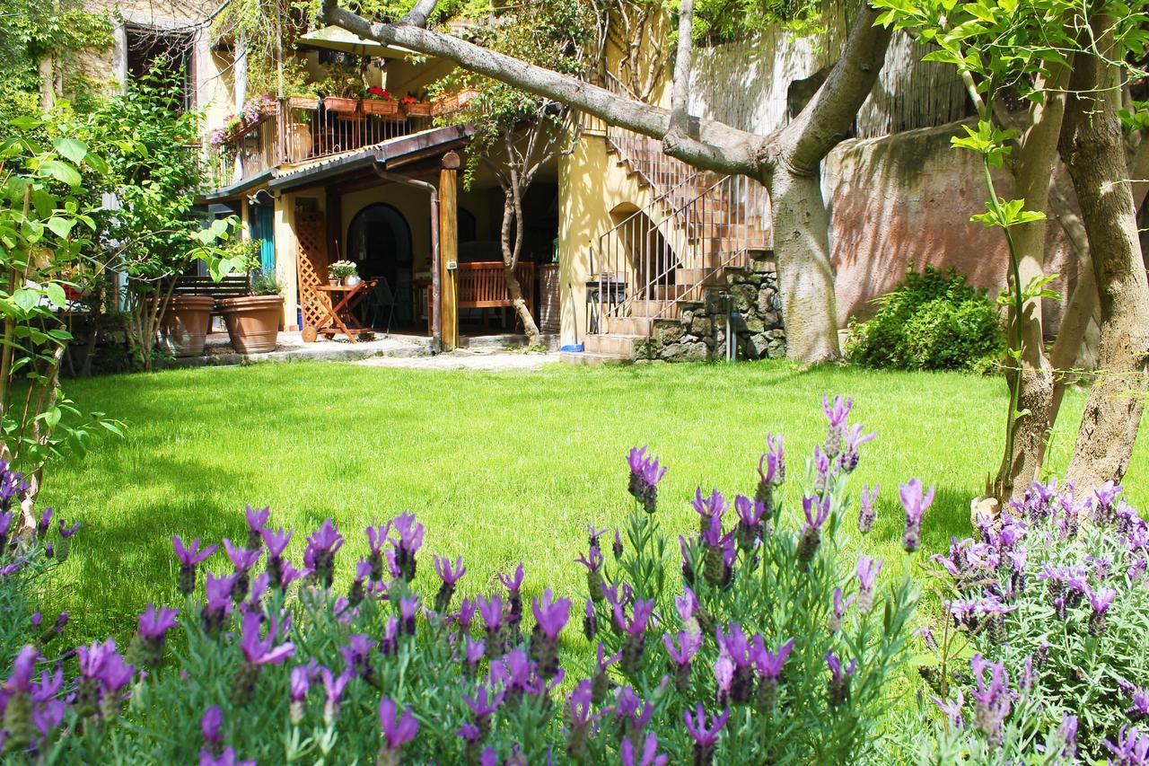 Inn The Garden CTA Exteriör bild